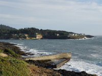 Summer Vacation 2018-201  Cape Foulweather to see more whales